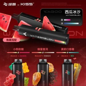 【78 轉瞬變幻】WAGOO 哇酷6500口抛棄式 KIS5 職人級防漏密封結構、確保每一口都純粹無雜質 極致順滑擊喉力 台灣現貨秒發